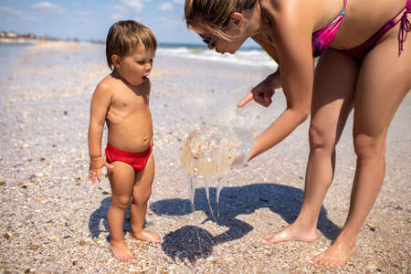 Mom shows her son a jellyfish standing on the sea coastの写真素材