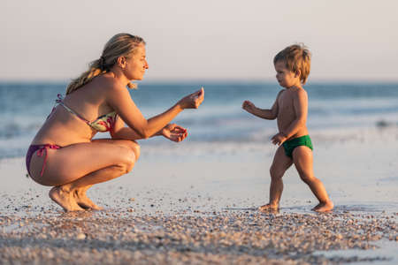 The kid collects shells and pebbles in the sea on a sandy bottom with his mother under the summer sun on vacationの写真素材
