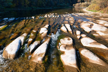 Shallow mountain river rapids with evergreen autumn terracotta forests on steep banks on sunny fall...