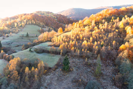 Boundless highlands covered with green coniferous and terracotta deciduous forests under cloudy sky on sunny autumn day aerial viewの写真素材