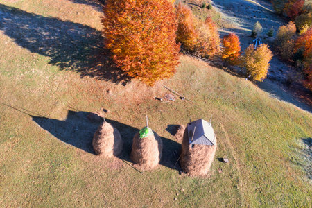 Hay stacks covered with roof and standing on meadow among high yellowed and terracotta trees on mountain slope under blue cloudless skyの写真素材