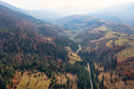 Autumn multi-colored forest with green coniferous trees and narrow path stretching in high mountains under blue cloudy sky panorama viewの写真素材