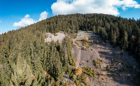 Autumn multi-colored forest with green coniferous trees and narrow path stretching in high mountains under blue cloudy sky panorama viewの写真素材