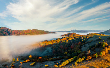 Mountains with terracotta and green trees growing under bright blue cloudless sky protrude from thick layer of white fog panorama viewの写真素材