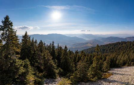 Dense forests on mountain peak under blue sky with clouds