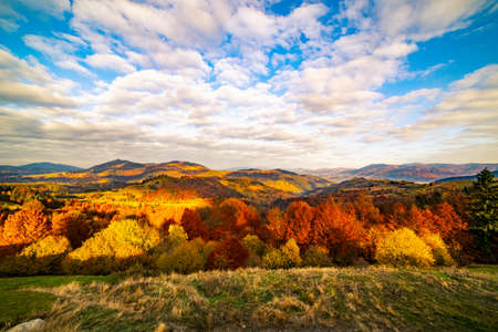Mountain ridge covered with terracotta forests and vivid yellowed trees under gray cloudy sky on gloomy autumn day panorama viewの写真素材