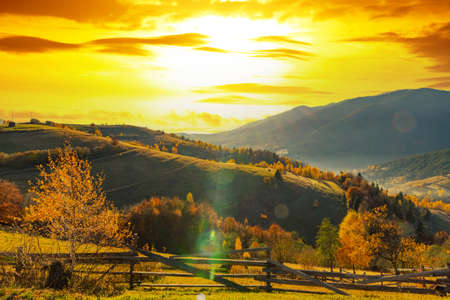 Grassy slopes with lush trees growing in highland against distant giant forestry mountains in autumn at sunset under cloudy skyの写真素材