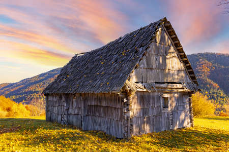 Abandoned wooden house built on grassy hill near fence surrounded by bare trees in highland against distant mountains at sunny autumn sunsetの写真素材