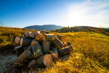 Heap of chopped firewood lies on dry grass in highland against distant mountains surrounded by fog under blue sky at sunny autumn sunsetの写真素材