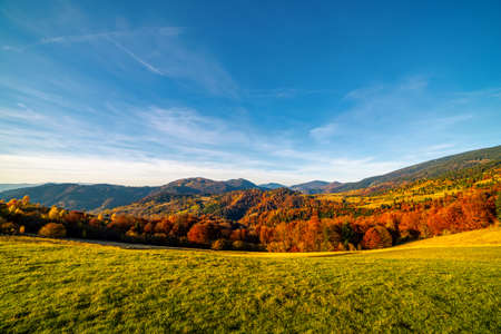 Ground grassy road runs along wooden fence on ridge past terracotta trees in highland against mountains under blue sky with pink clouds in autumnの写真素材