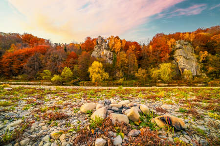High rocky cliffs among lush yellowed trees growing near mountain river with clear water in autumn under blue sky and pink cloudsの写真素材