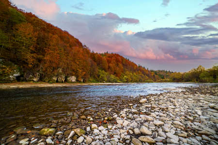 Mountain river wild stone bank with rapids against colorful trees growing on hill slopes under blue sky with floating clouds in autumnの写真素材