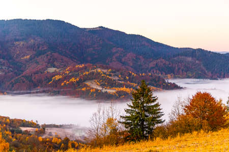 High hill with lush colorful trees and dry yellow grass against deep gorge covered with heavy fog...