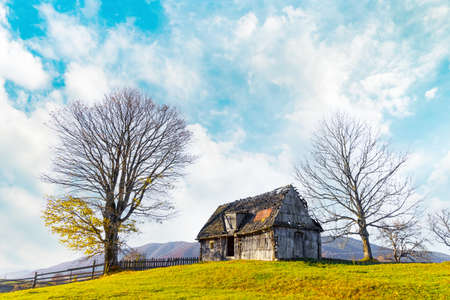Abandoned wooden house built on grassy hill near fence surrounded by bare trees in highland against distant mountains at sunny autumn sunsetの写真素材