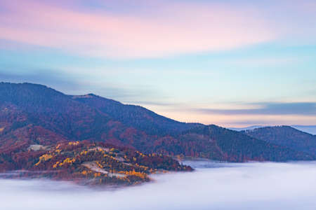 High hill with lush colorful trees and dry yellow grass against deep gorge covered with heavy fog under pink blue sky in autumnの写真素材