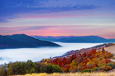 High hill with lush colorful trees and dry yellow grass against deep gorge covered with heavy fog under pink blue sky in autumnの写真素材