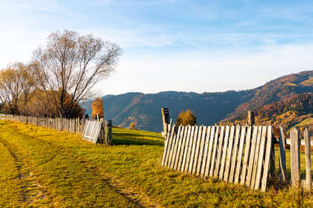 Giant forestry mountains surrounded by heavy fog behind long wooden fence with gate stretching along ground road in highland on autumn dayの写真素材