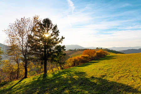 Ground grassy road runs along wooden fence on ridge past terracotta trees in highland against mountains under blue sky with pink clouds in autumnの写真素材