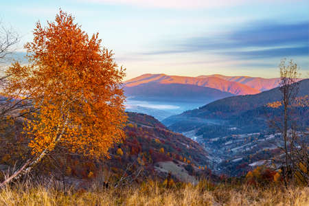 Foggy valley with scattered villages surrounded by forestry mountains and hills with colorful autumn trees in highland at sunset illuminating skyの写真素材