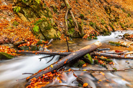 Beautiful Waterfall Shipot in the autumn forest of the Carpathian Mountainsの写真素材