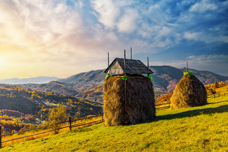 Traditional haystack of dry yellow hay under wooden roof built with long poles behind fence in highland under blue sky on sunny autumn dayの写真素材