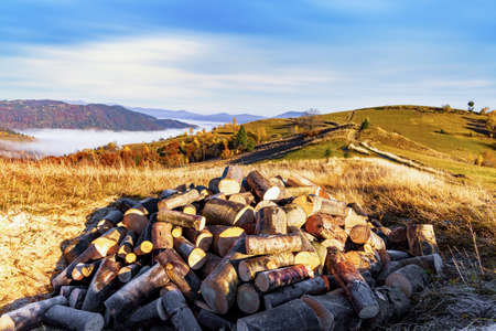 Heap of chopped firewood lies on dry grass in highland against distant mountains surrounded by fog under blue sky at sunny autumn sunsetの写真素材