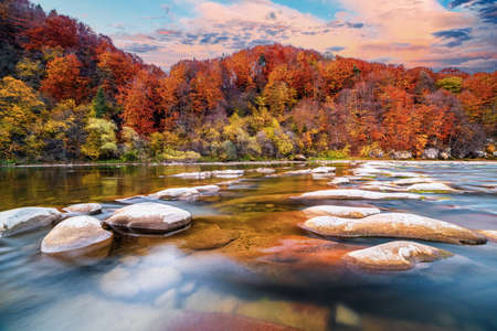Mountain river wild stone bank with rapids against colorful trees growing on hill slopes under blue sky with floating clouds in autumnの写真素材