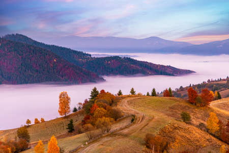 High hill with lush colorful trees and dry yellow grass against deep gorge covered with heavy fog under pink blue sky in autumnの写真素材