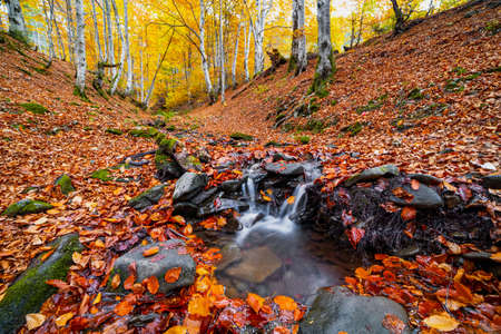 Beautiful Waterfall Shipot in the autumn forest of the Carpathian Mountains