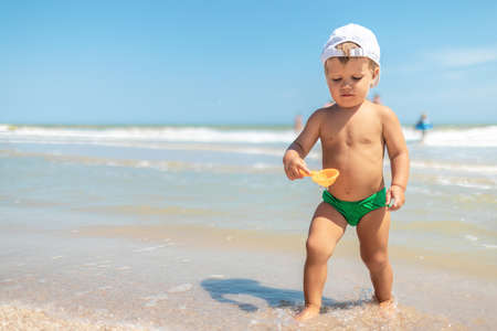 Kid collects shells and pebbles in the sea on a sandy bottom under the summer sun on a vacationの写真素材