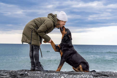 A large obedient faithful dog in a metal strict shiny collar sits on a sandy sea wild beach, and gives a paw to his happy cheerful adult female hostess in warm clothes in cold cloudy weatherの写真素材