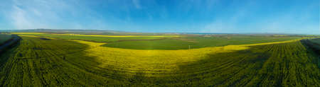 Panorama of bright flowering fields with yellow spring plant in mountain and meadow valley against backdrop of small empty old village and cloudy blue daytime sky, in warm southern country of Bulgariaの写真素材