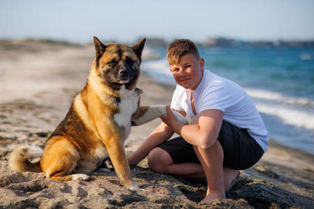 Cheerful kind teenage guy with blond hair and comfortable leash in his hands plays and walks with his big fluffy multi-colored dog of Akina Inu breed, on sandy wild sea beach along Black Seaの写真素材