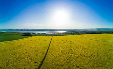 Panorama of bright flowering fields with yellow spring plant in mountain and meadow valley against backdrop of small empty old village and cloudy blue daytime sky, in warm southern country of Bulgariaの写真素材