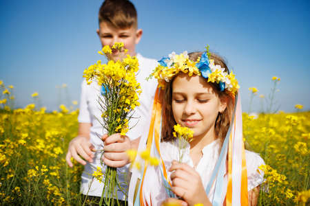 Children: brother and sister in Ukrainian wreath with ribbons sniff rapeseed flowers against backdrop of fields and skyの写真素材