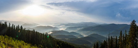 Panorama on cold cloudy weather over low hills covered with spruce evergreen forests in Rhodope...