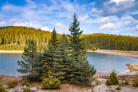 A small blue reflecting lake and clear mountain cool water with stone narrow wild shore in evergreen coniferous spruce forest with tall fluffy thorny fir trees, against a pale blue daytime cloudy skyの写真素材