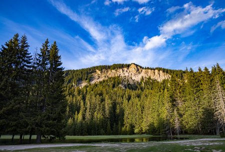 A small blue reflecting lake and clear mountain cool water with stone narrow wild shore in evergreen...