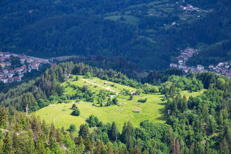 Green spring mountain valley sheltered by mountain vegetation and spruce dark dense forests with...