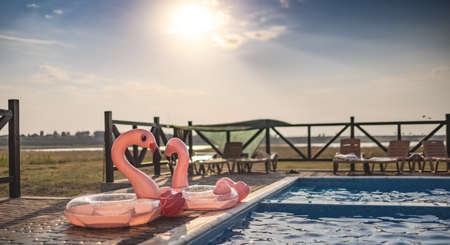 Two beautiful inflatable pink flamingos lie near a deep blue pool with clear transparent fresh water under the warm summer hot sunの写真素材