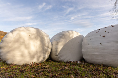 Bales of hay wrapped in film on an empty pasture close-upの写真素材
