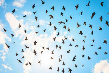 A large group of birds flies high in the afternoon sky, creating a stunning natural display.の写真素材