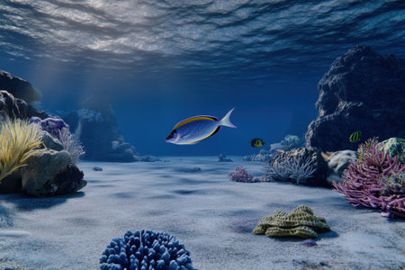 A variety of fish glide through clear blue water, surrounded by intricate coral formations and soft sand.の写真素材