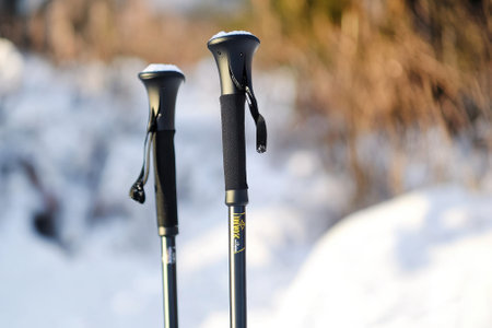 Two hiking poles rest in a snowy landscape, showcasing winter's beauty and outdoor adventure opportunities.の写真素材