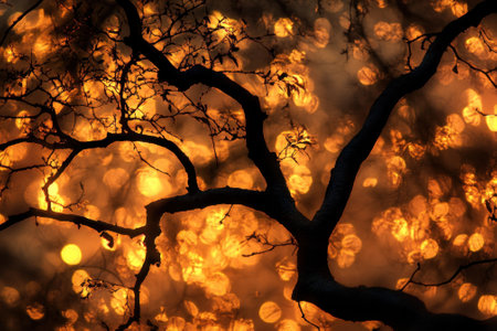 A striking silhouette of a tree is highlighted by a glowing sunset, casting warm tones in the background.の写真素材