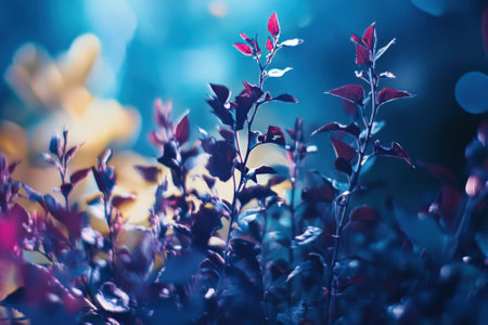 Brightly colored leaves flourish in a tranquil garden, softly lit by the fading light of dusk.の写真素材