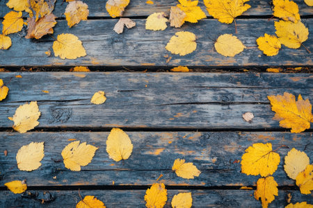 Bright yellow leaves cover a wooden surface, showing the beauty of autumn in a peaceful outdoor area.の写真素材