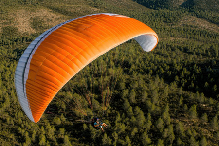 Soaring high above a dense forest, a paraglider enjoys the thrill of flight on a sunny day.の写真素材