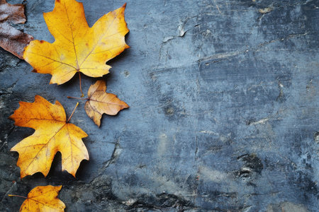 Bright yellow leaves lie elegantly on a textured stone, reflecting the beauty of autumn outdoors.の写真素材