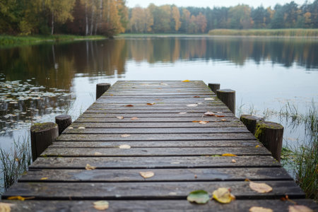 Leaves are scattered on a wooden pier by a calm lake, reflecting the warm hues of autumn foliage.の写真素材